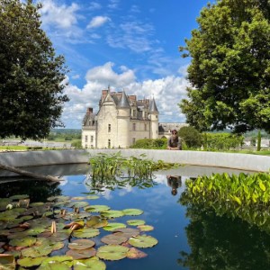 Un aperçu de l'Indre et Loire avec Amboise, Villandry et Tours 🏰 🏞.#france